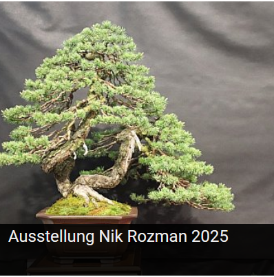 Ausstellung Nik Rozman Slowenien 2025